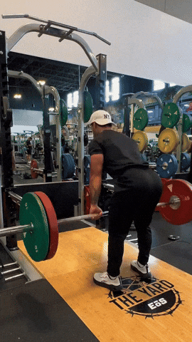 Daniel2399 giphyupload GIF
