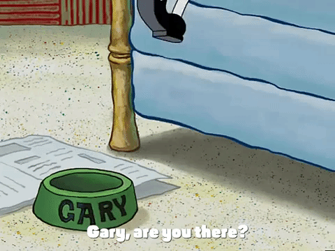 season 3 missing identity GIF by SpongeBob SquarePants