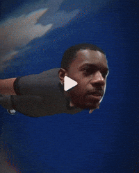 Bird Flying GIF