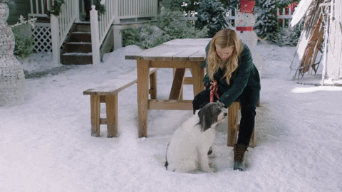 Christmas In July Love GIF by Hallmark Mystery