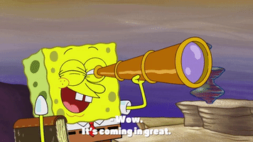 season 9 episode 23 GIF by SpongeBob SquarePants