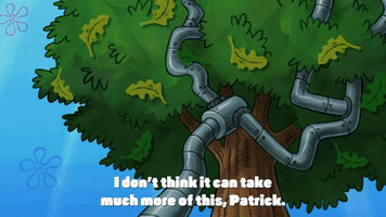 season 9 episode 23 GIF by SpongeBob SquarePants