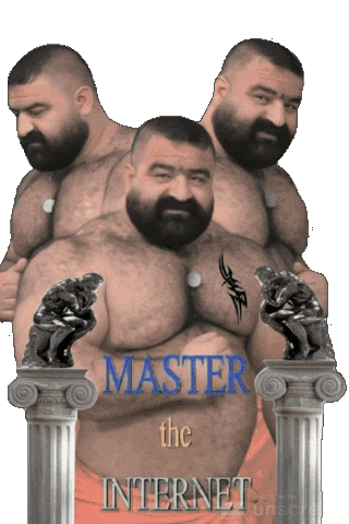 Gay Internet Sticker by Database數據