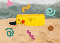 celebration beach GIF by caribBEING