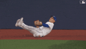Blue Jays Baseball GIF by Toronto Blue Jays