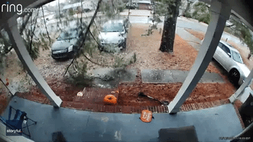 North Carolina Man Dodges Crashing Tree Branch Covered in Ice