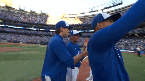 Blue Jays Celebration GIF by Toronto Blue Jays