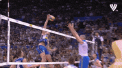 Keep It Alive Get Ready GIF by Volleyball World