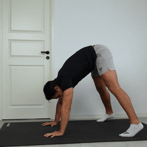 Calisthenics Exercises GIF