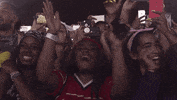 fans beychella GIF