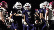 Berg Colt GIF by NTHS