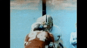 blocking hall of fame GIF by Pitt Panthers