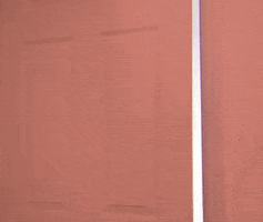 Nba 2K League 2K20 GIF by Raptors Uprising GC