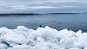 Travel Water GIF by Casol
