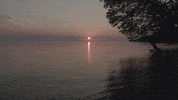 wearenorthwood sunrise GIF