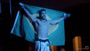karatecombat sports karate karatecombat GIF