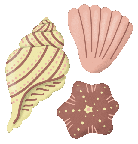 Beach Sea Sticker