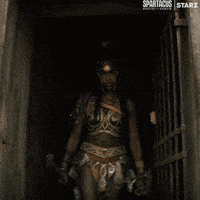 Lets Go Television GIF by Spartacus