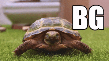 Bg Lol GIF by CANAL+