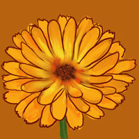 Van Harte Calendula GIF