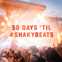 music festival edm GIF by Shaky Beats Music Fest