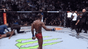 Mixed Martial Arts Sport GIF by UFC