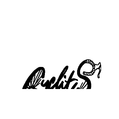 Cyclits cycling cyclist cyclists female cycling Sticker