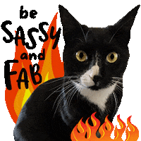 Sassy Cat Be Fabulous Sticker