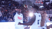 leonessabrescia basket brescia abi fip GIF