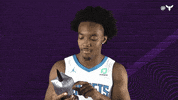 Devonte Graham Sport GIF by Charlotte Hornets