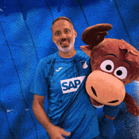 Sport Bundesliga GIF by TSG Hoffenheim