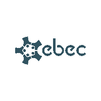 elifnrcaliskan best engineering ebec ebec final Sticker