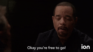 Law And Order Svu GIF by ION