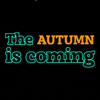 ZaitoonVibes gift autumn buy now clothes GIF