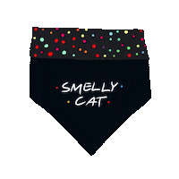 Phoebe Buffay Friends Sticker