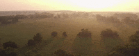 alabama GIF