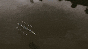 football soccer GIF by Bundesliga