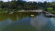 lake wauburg GIF by University of Florida