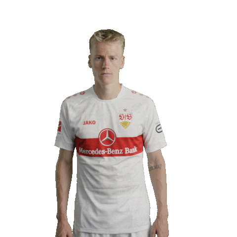 Football Sport Sticker by VfB Stuttgart
