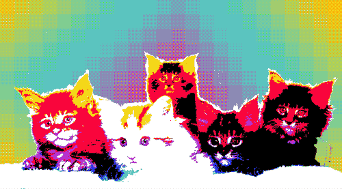 cat neon GIF