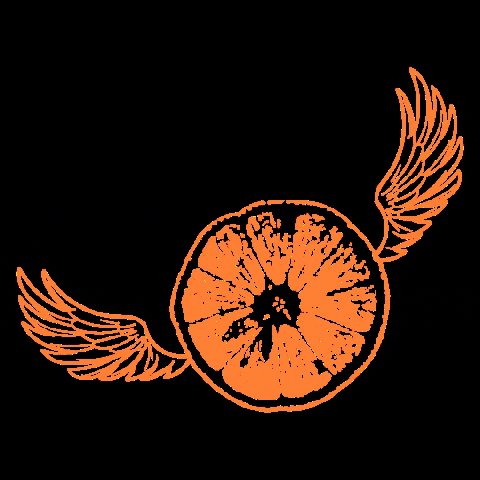 angryorange giphygifmaker GIF