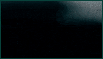 Philadelphia Eagles GIF