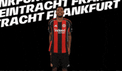 Lets Go Bundesliga GIF by Eintracht Frankfurt