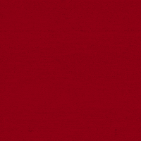 Go Cards GIF by Louisville Cardinals