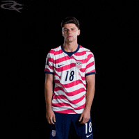 Fifa World Cup Usa GIF by Respective