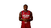 Look At That Liga Endesa Sticker by ACB