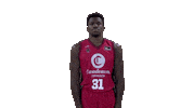 Liga Endesa Yes Sticker by ACB