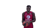 Liga Endesa Spinning Sticker by ACB