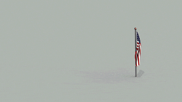 American Flag Loop GIF by Pablo Lopez