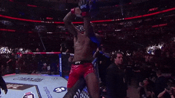 Sport Mma GIF by UFC